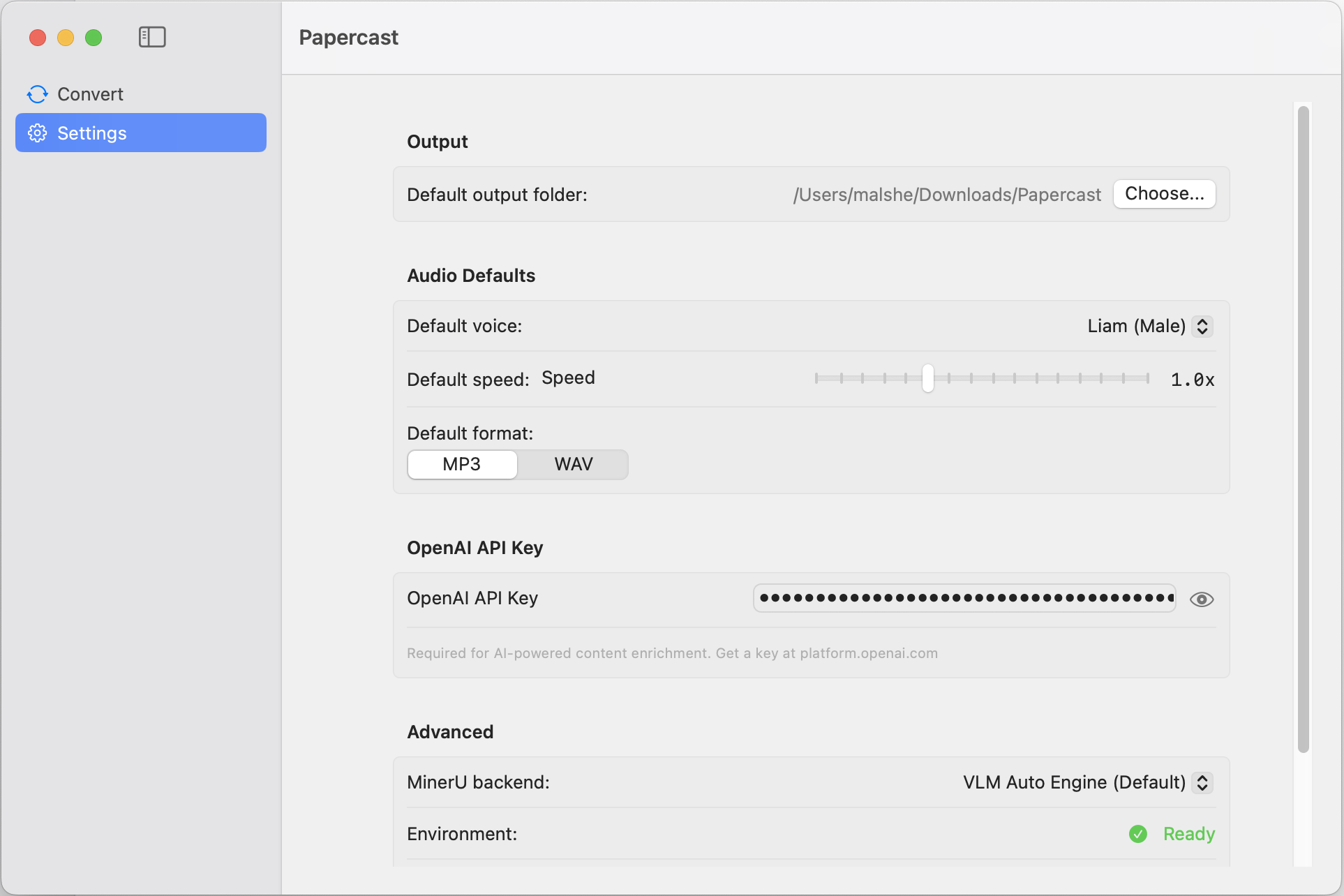Papercast settings view